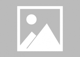 搞笑爽文吃瓜娱乐圈小说,吃瓜群众逆袭记