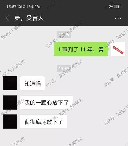 91秦先生视频在线观看,揭秘视频背后的精彩人生